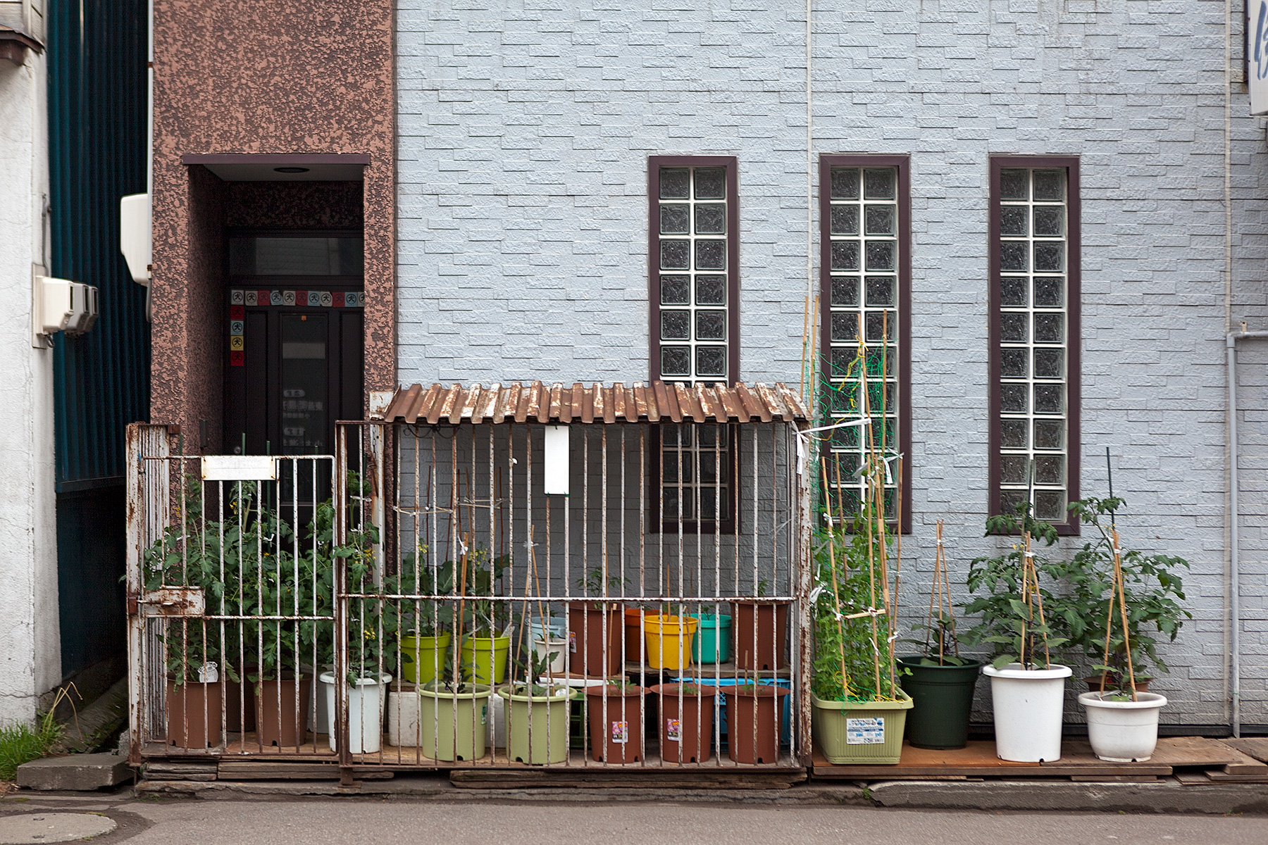Hausfassade mit Kübelpflanzen davor