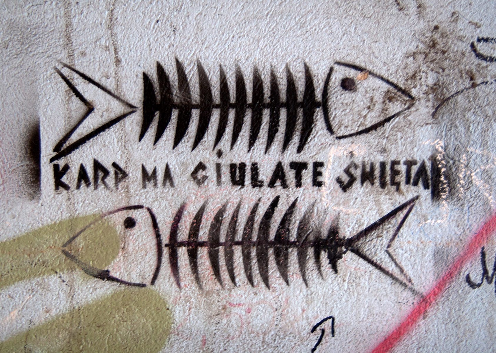 Graffiti mit Fischgräten