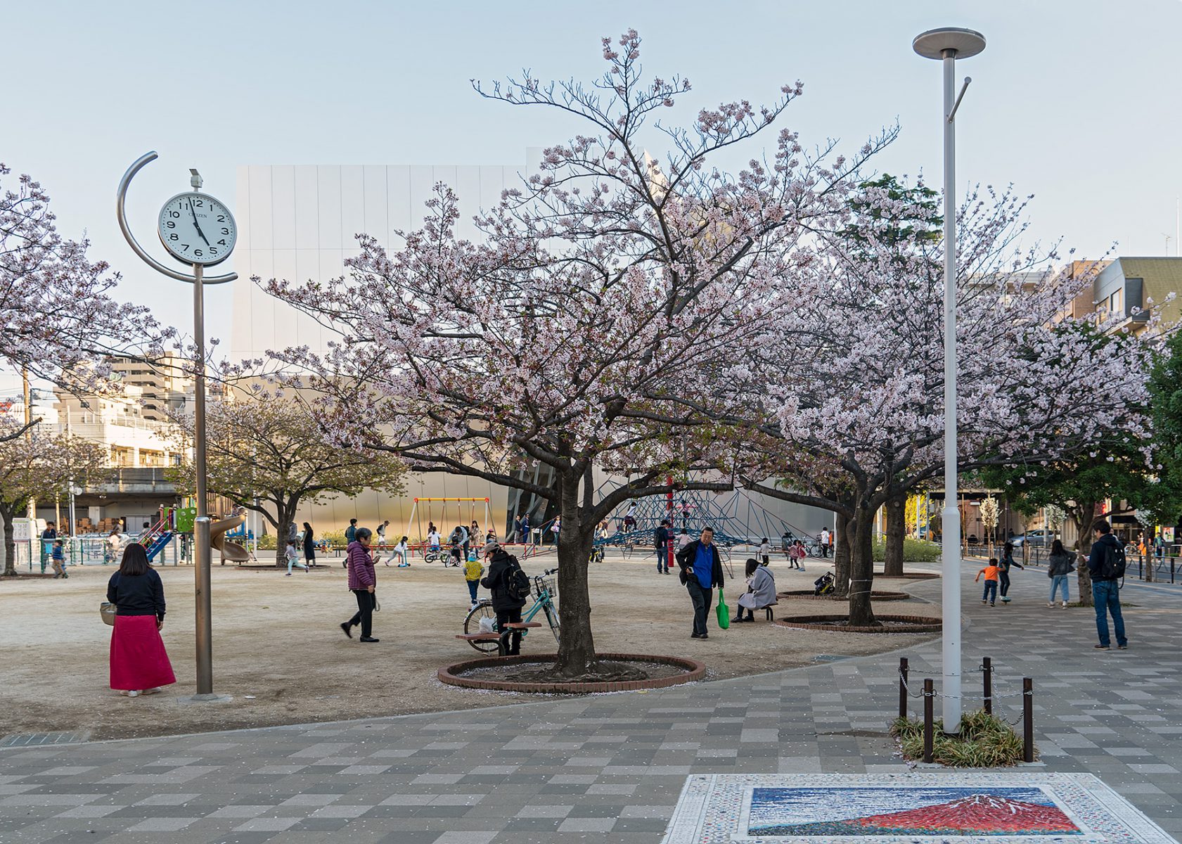 Blühende Kirschbäume auf dem Platz vor dem Museum
