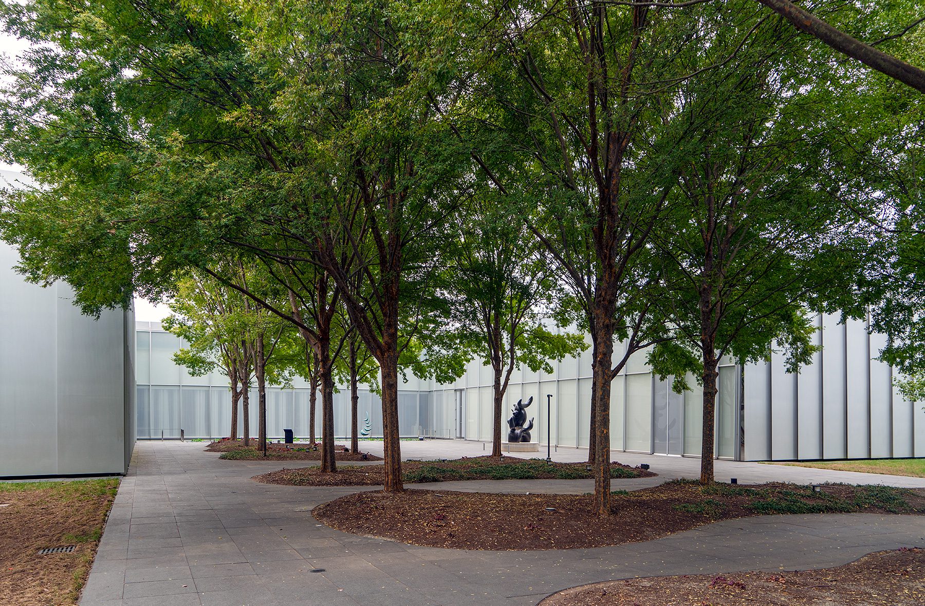Gruppe von Bäumen vor Raleigh Art Museum