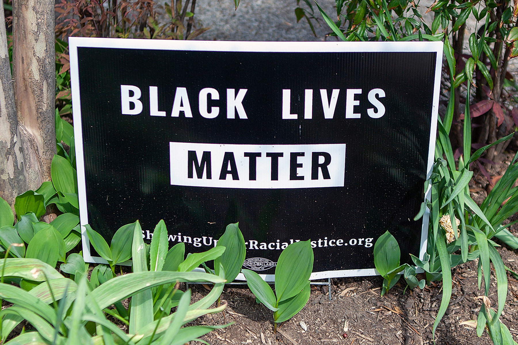Schild: Black Lives Matter