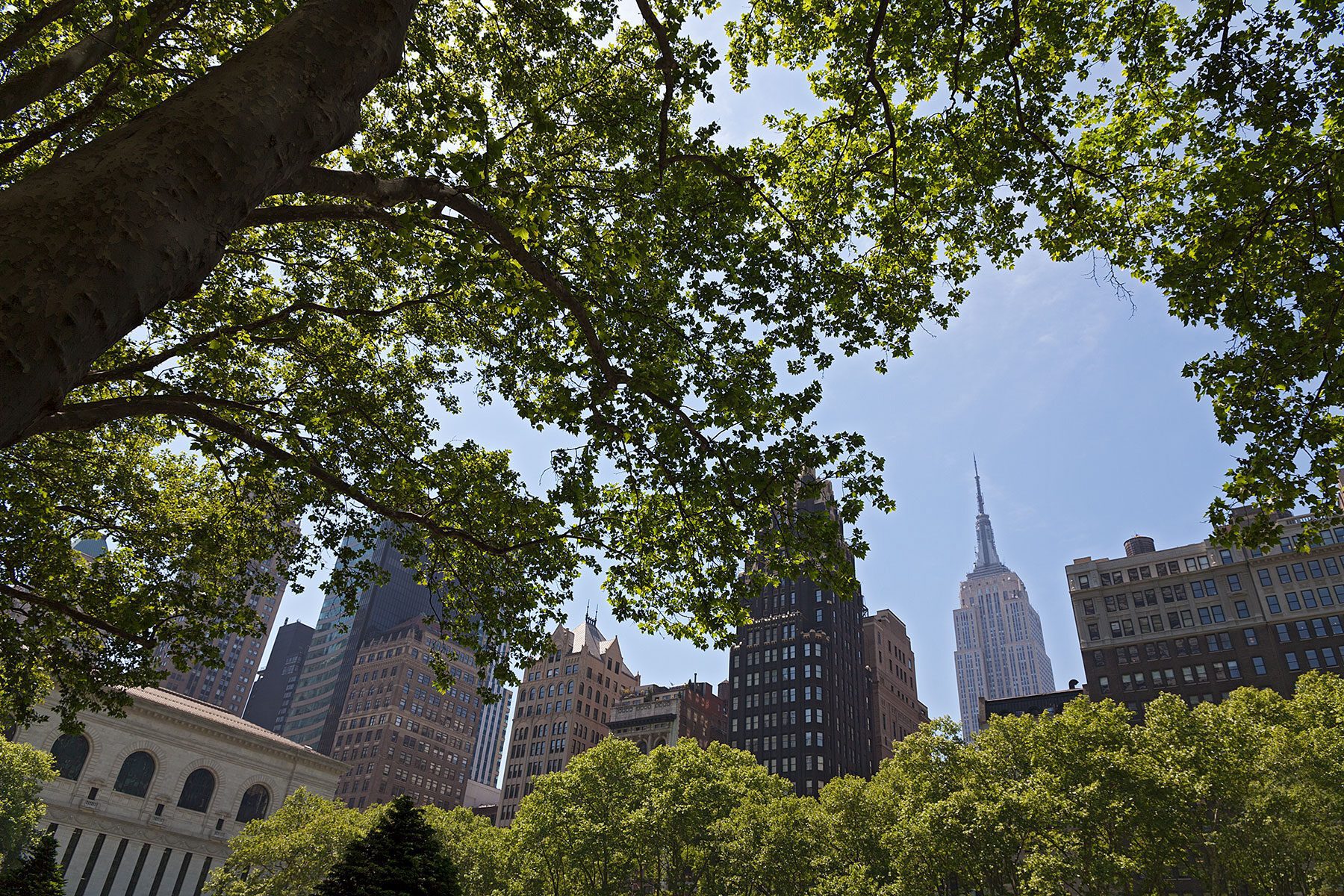 Blick durch eine Baumkrone auf die Architektur am Bryant Park, Manhattan auf der Seite Stadterkundung.com