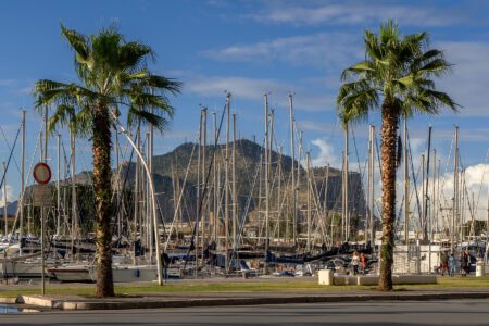 Palmen vor Booten im alten Hafen La Cala
